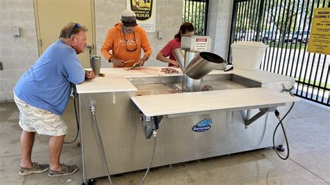 lake erie fish|Fish Cleaning Stations.